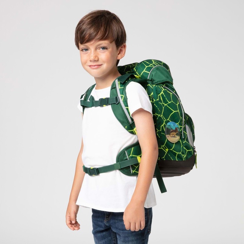 Ergobag Skoletaskesæt Pack BearRex Grøn mønster 7